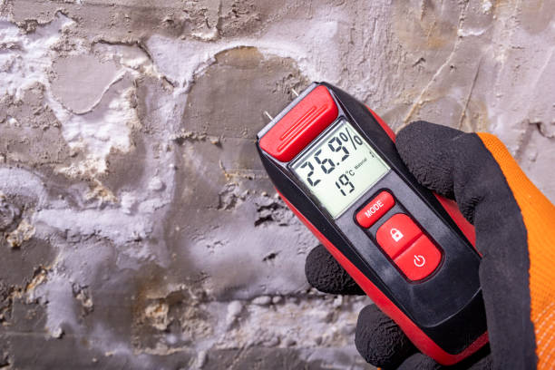 Best Mold Testing and Inspection Services in Emerald Bay, TX